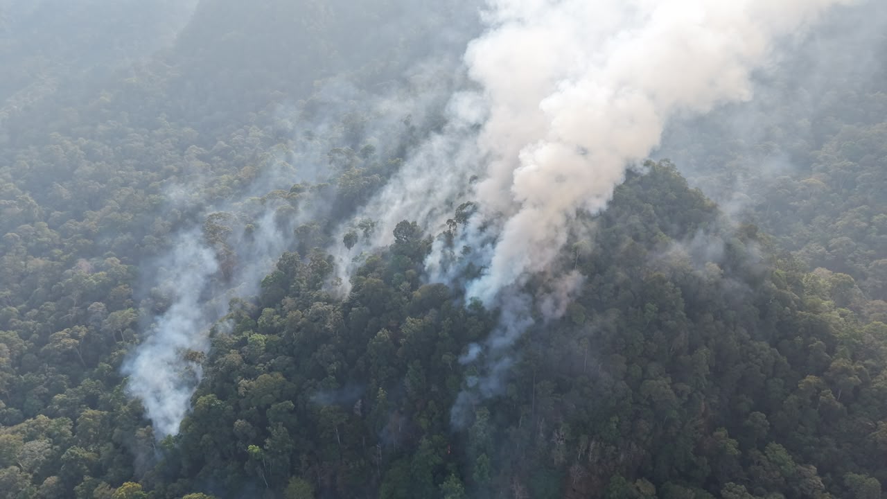 BUKIT SEBAYAN TERBAKAR, API MAKIN SULIT DIJINAKKAN DI TENGAH KEMARAU