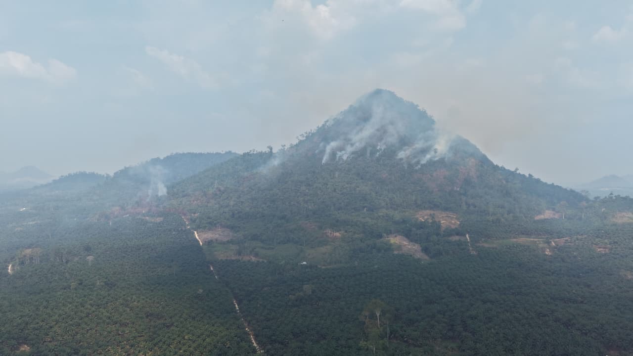 Kebakaran Hutan di Bukit Noulungan Lamandau Capai 10 Hektare